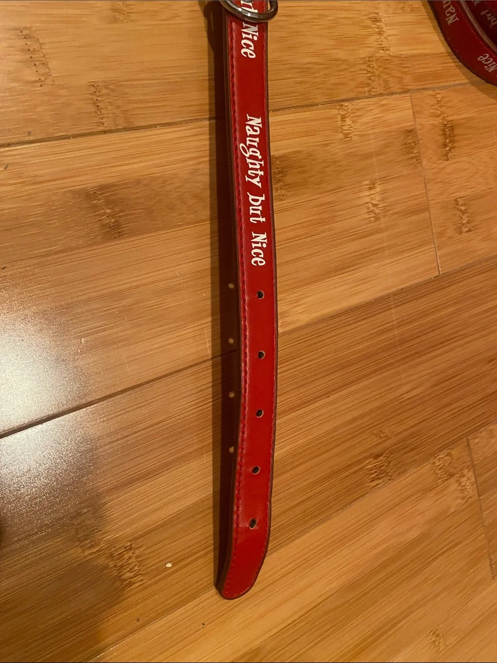 Small Dog Collar